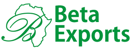 Beta Exports Logo